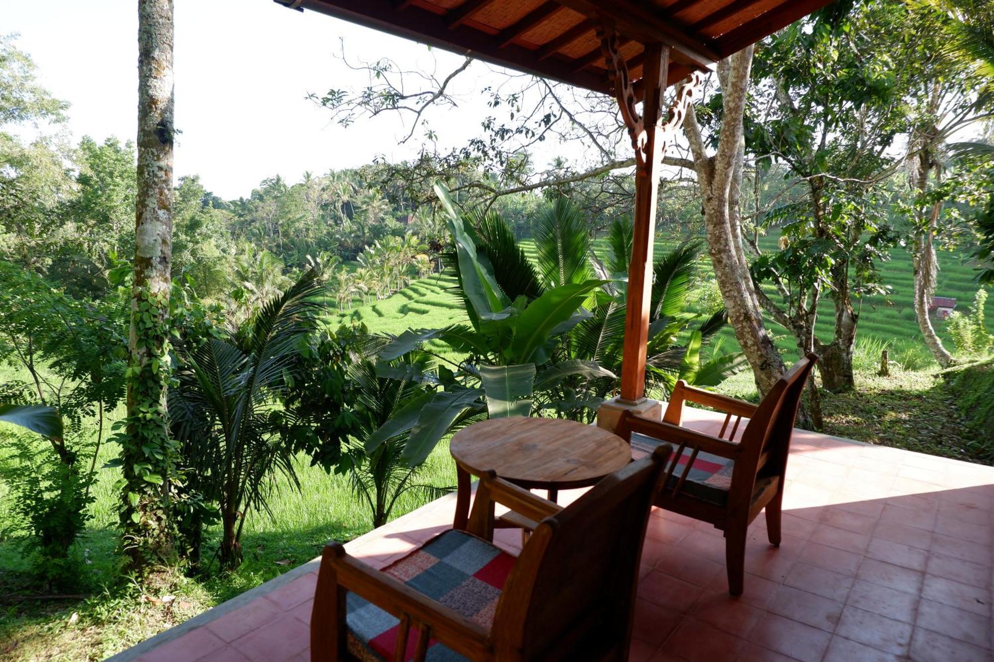 Saridevi Ecolodge 자띠루위 외부 사진