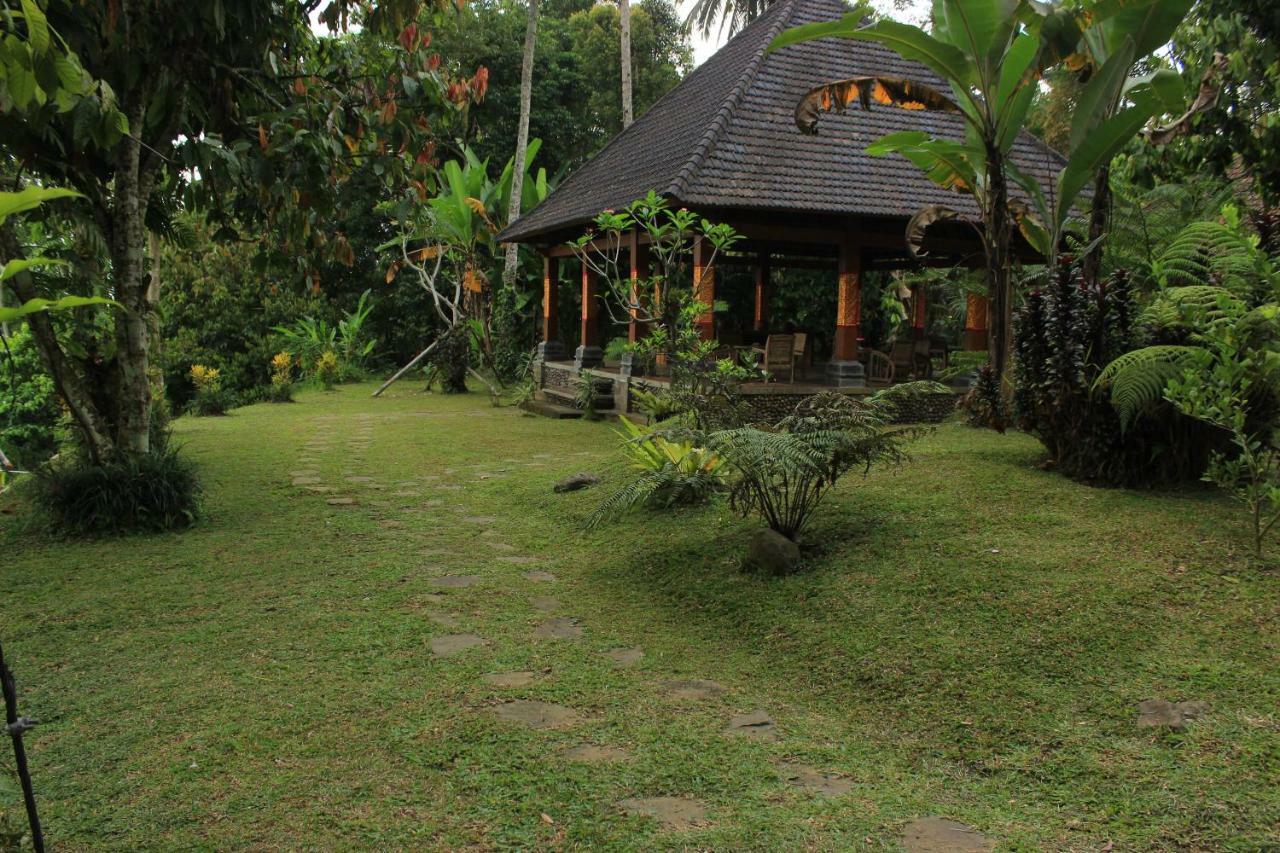 Saridevi Ecolodge 자띠루위 외부 사진