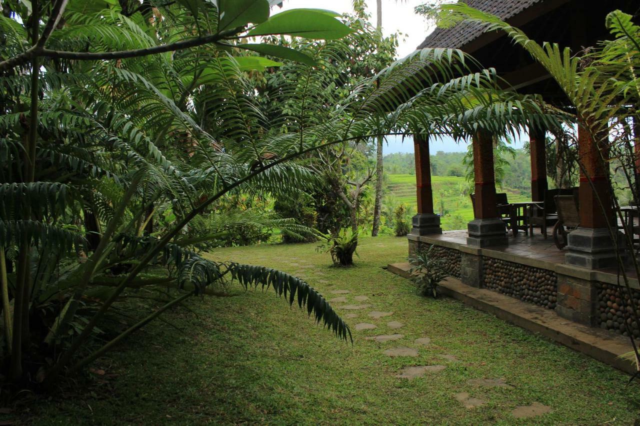 Saridevi Ecolodge 자띠루위 외부 사진